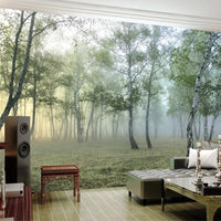Papier peint panoramique paysage pour le salon à relief 3D