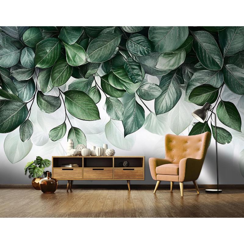 Papier peint à motif feuillage pour la chambre
