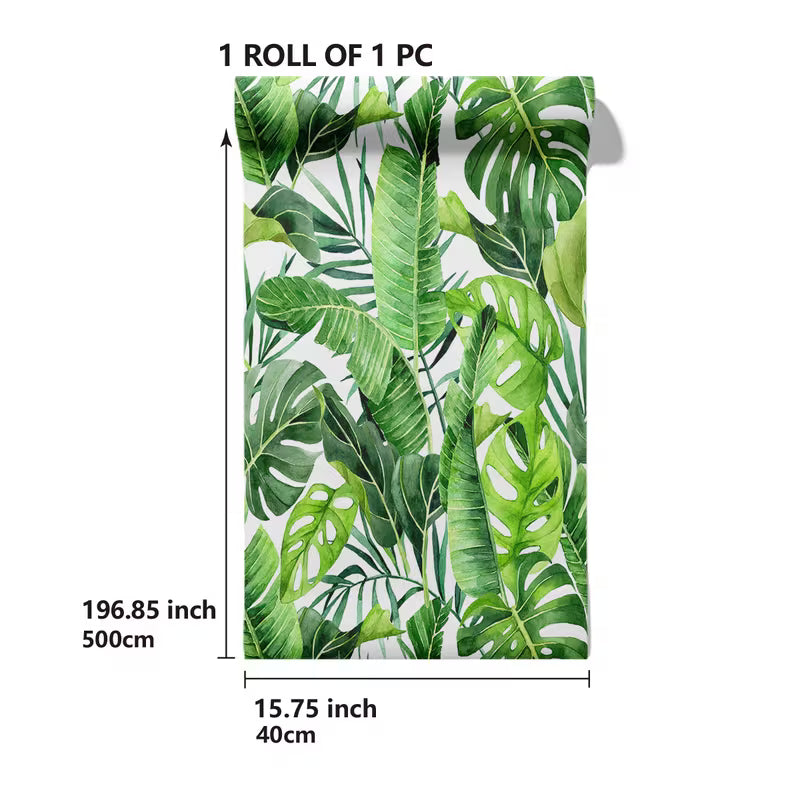 Papier peint adhésif tropical, vert
