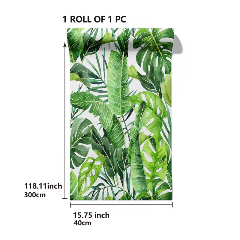 Papier peint adhésif tropical, feuillage vert pour le salon