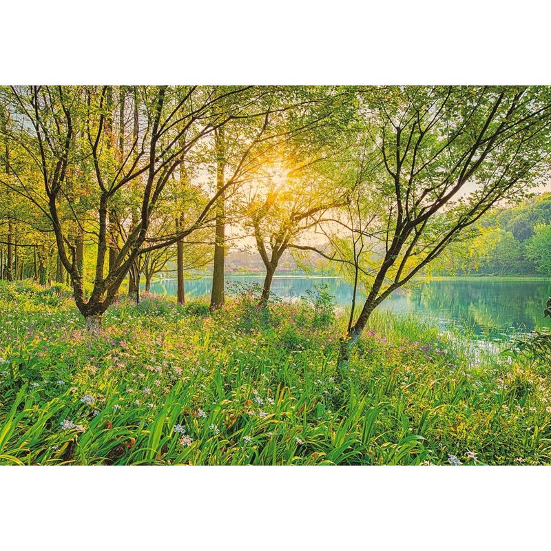 description_selected1 Image