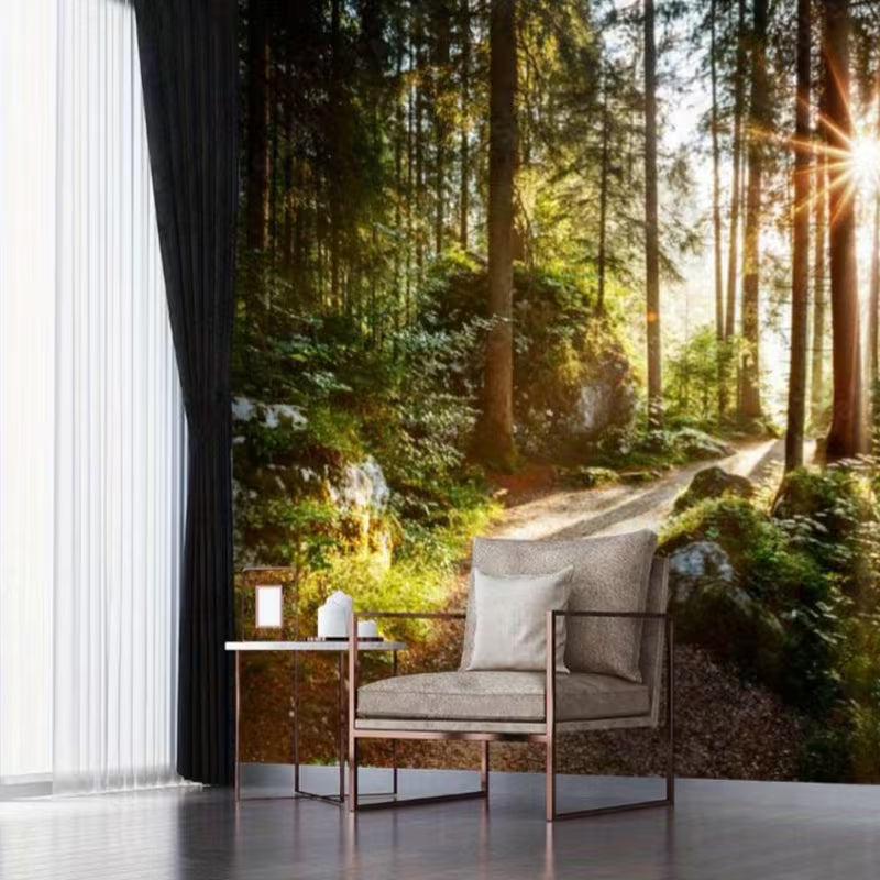 Papier peint panoramique forêt, sentier au soleil levant pour le salon