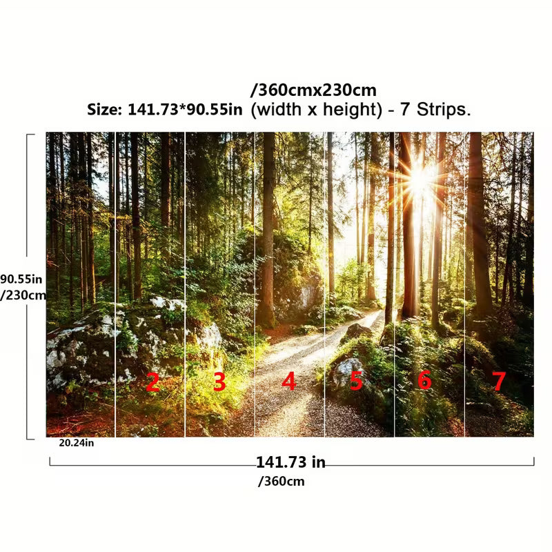 Papier peint panoramique forêt, sentier au soleil levant pour le salon