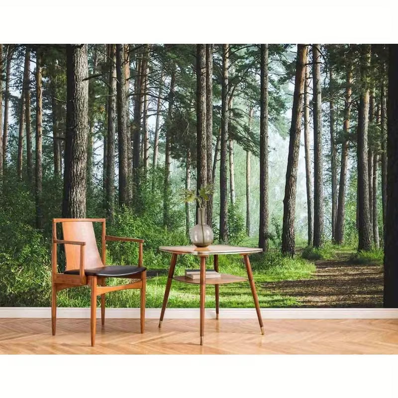 Papier peint panoramique forêt, sous-bois brumeux pour le salon Image