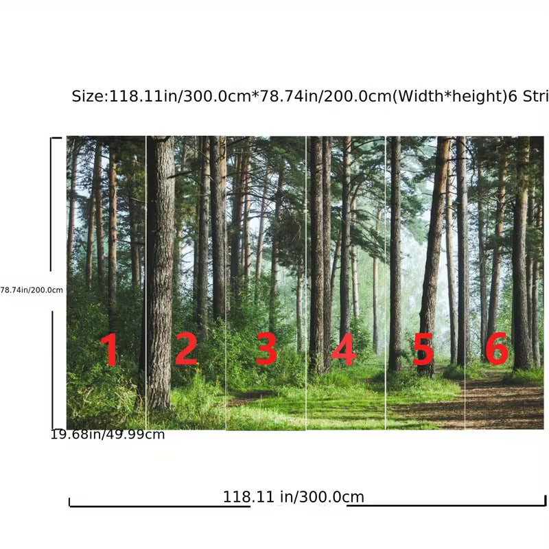 Papier peint panoramique forêt, sous-bois brumeux pour le salon