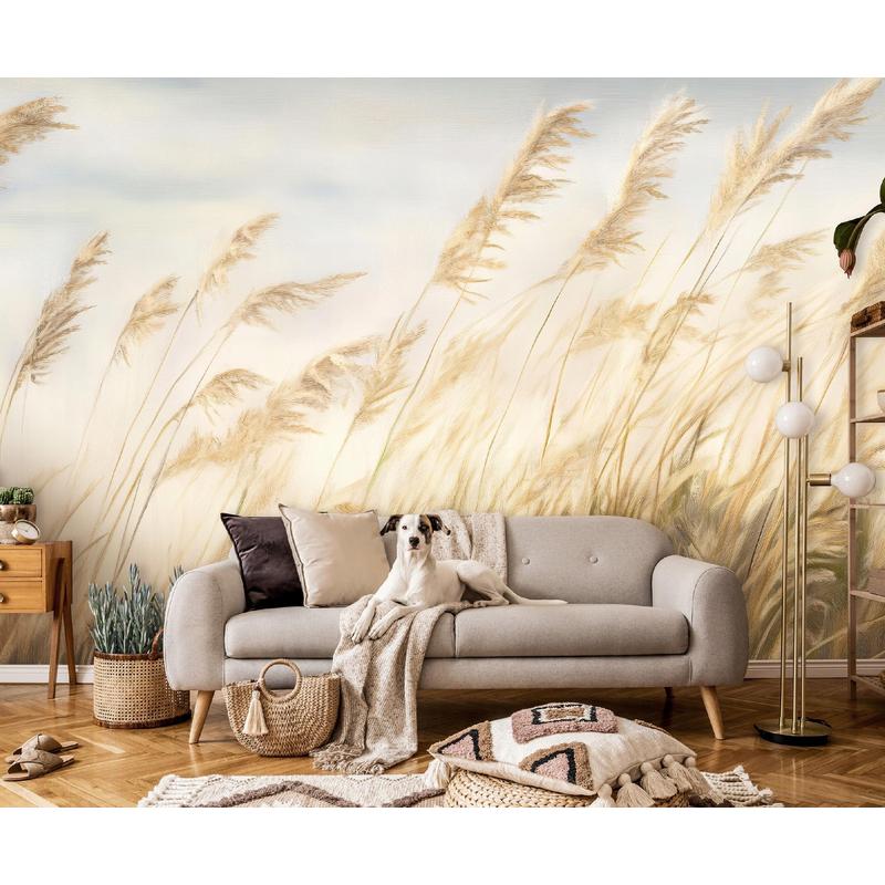 Papier peint panoramique herbes de pampa beige, intissé