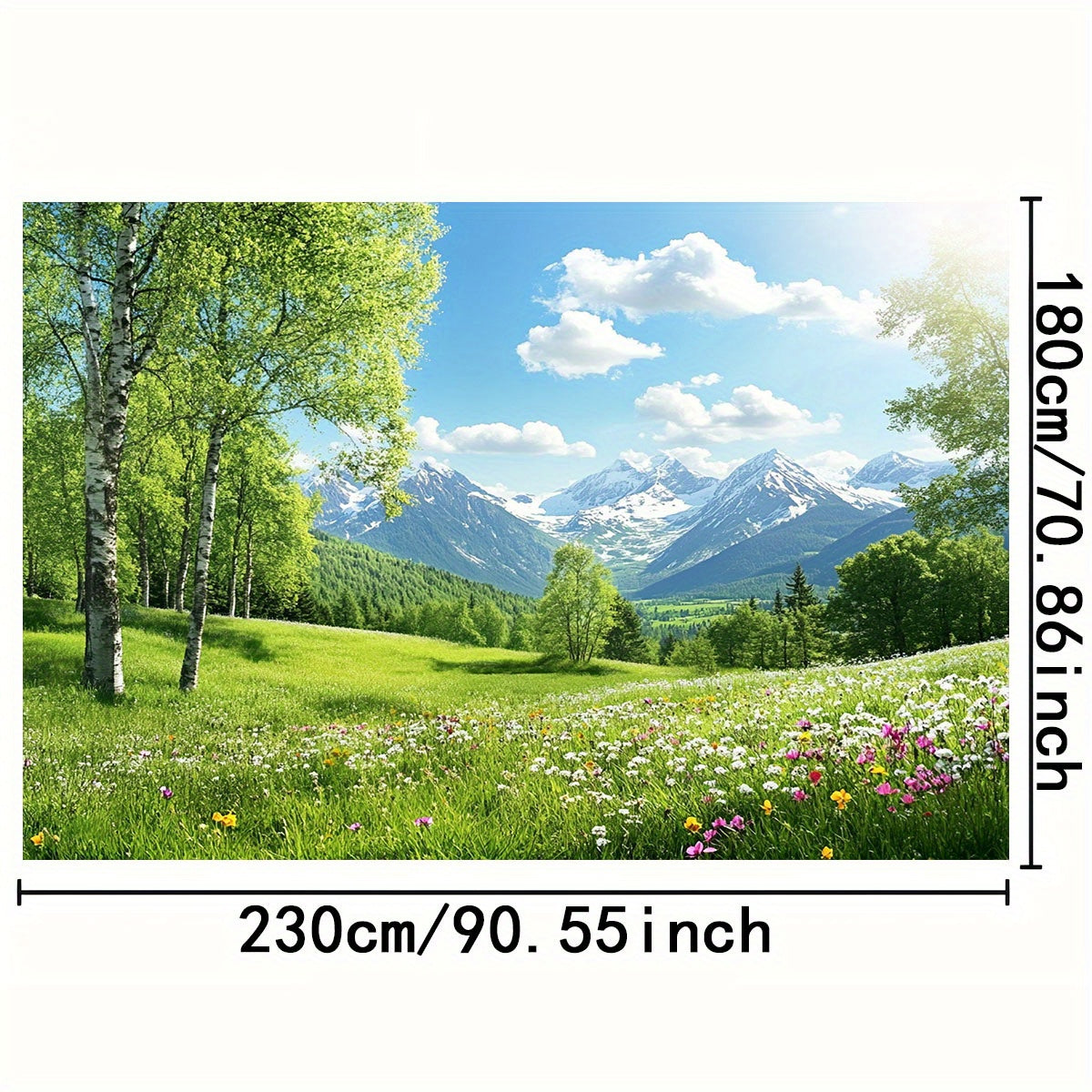 Toile murale champ de marguerites et cimes neigeuses, 300 cm